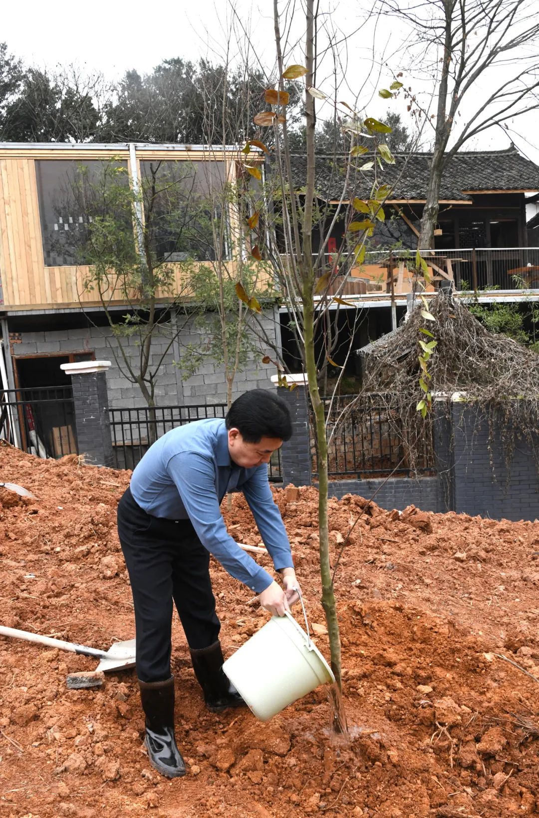 创国家森林城市 建怀化绿色家园 黎春秋王建球李万千印宇鹰等参加义务植树活动