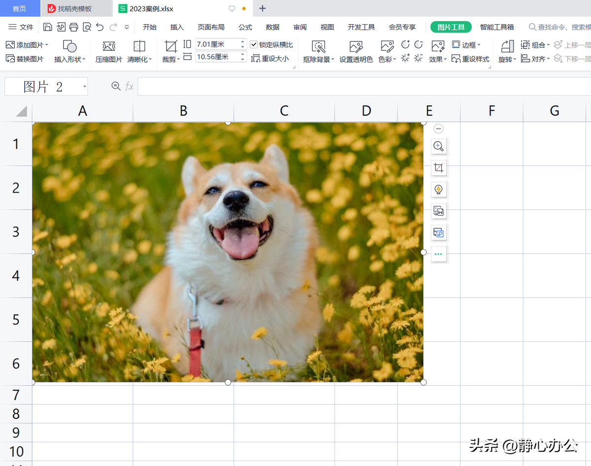 wps表格：将图片嵌入单元格中以便图片随单元格大小自动进行调整