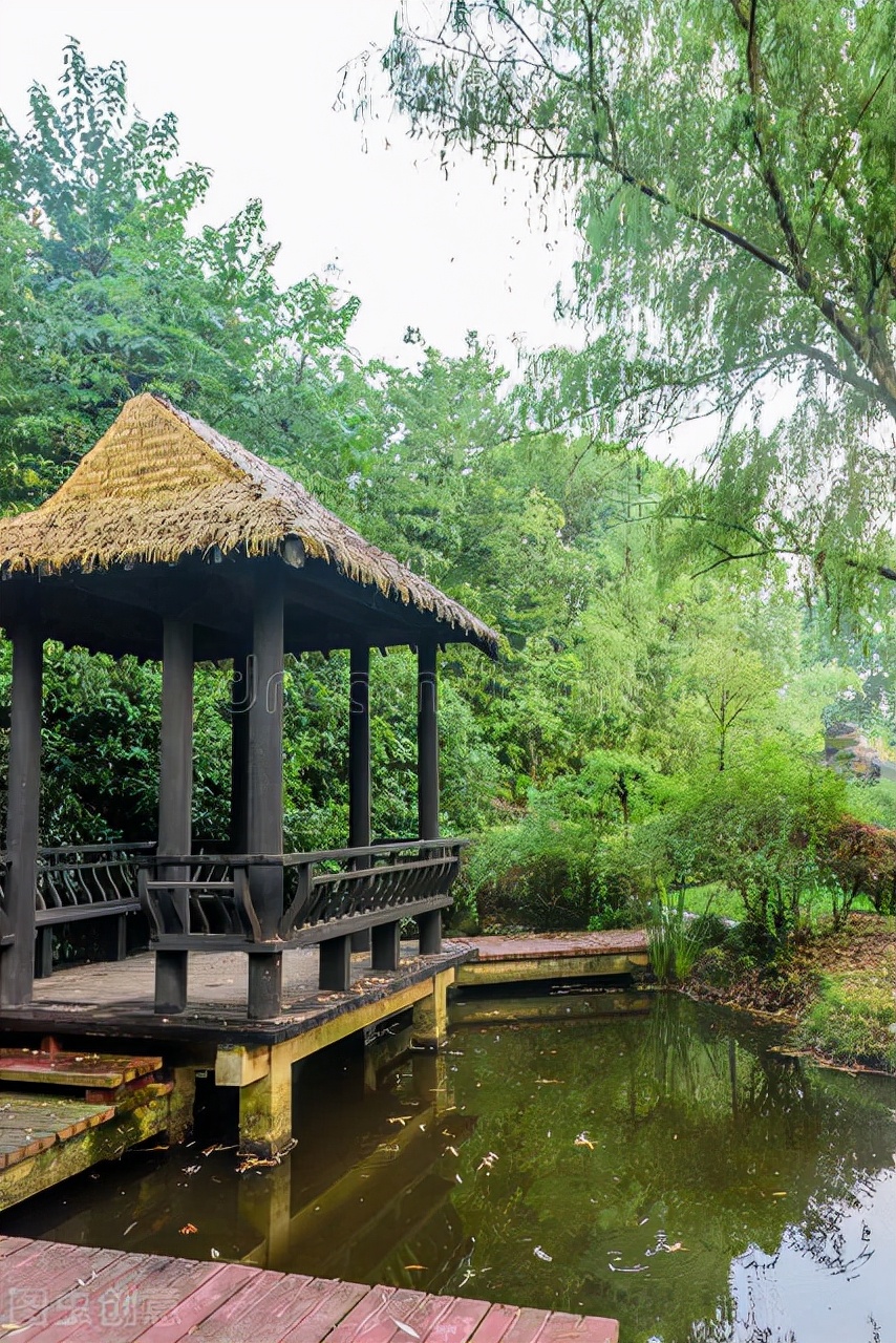 春雨｜我在等你，等下完这场雨