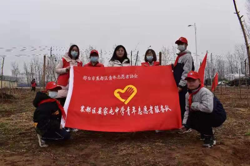 邢台市襄都区晏家屯中学参加植树活动(图4)