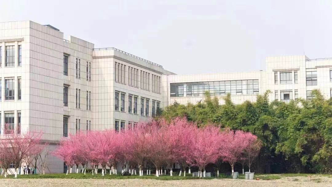 探玄机，解奥秘！电子科技大学：你想要的答案，都在这里！