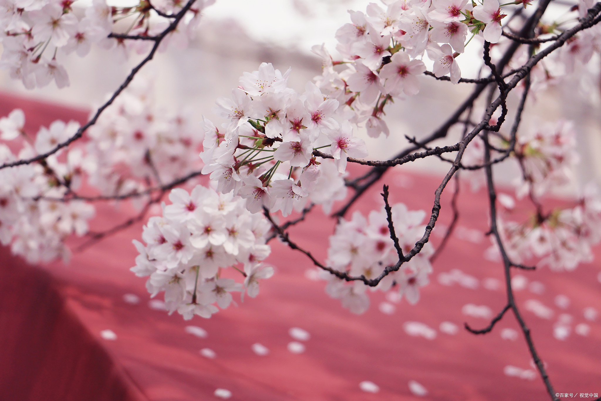 上海EMBA培训怎么样？上海地区EMBA含金量和报考难度，录取率怎么