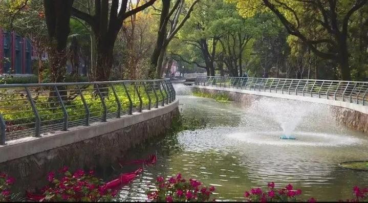 科技赋能绿色发展！上海这所双一流，频获央媒关注！