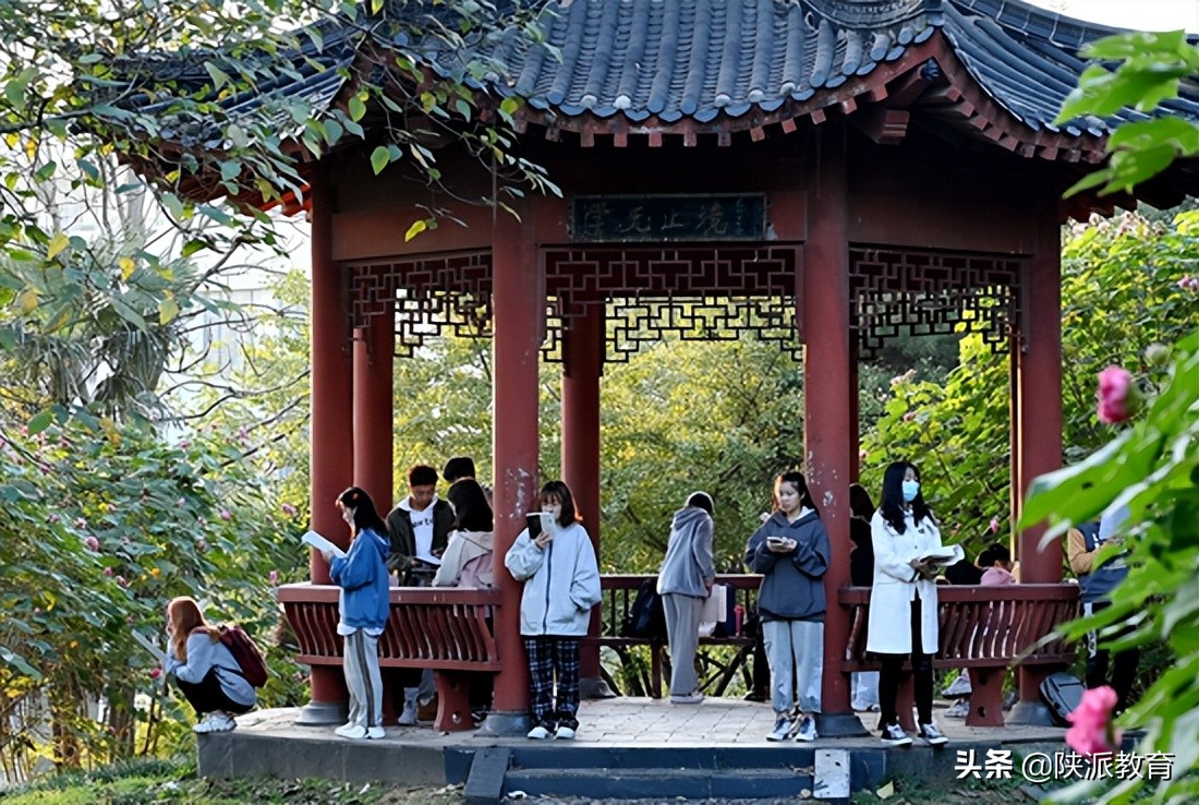 不为考试加分，只为成长加分——一所地方高校社团18年的素质教育试验