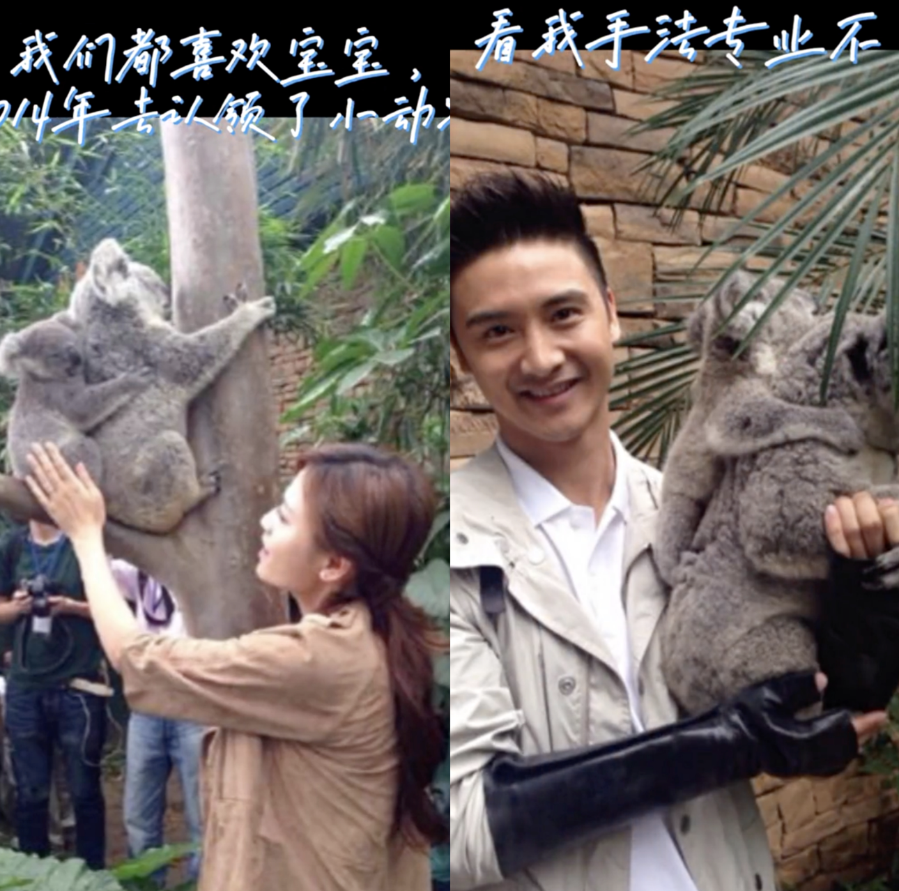 田亮晒照庆祝结婚14周年，展示诸多甜蜜幸福瞬间，花式表白叶一茜