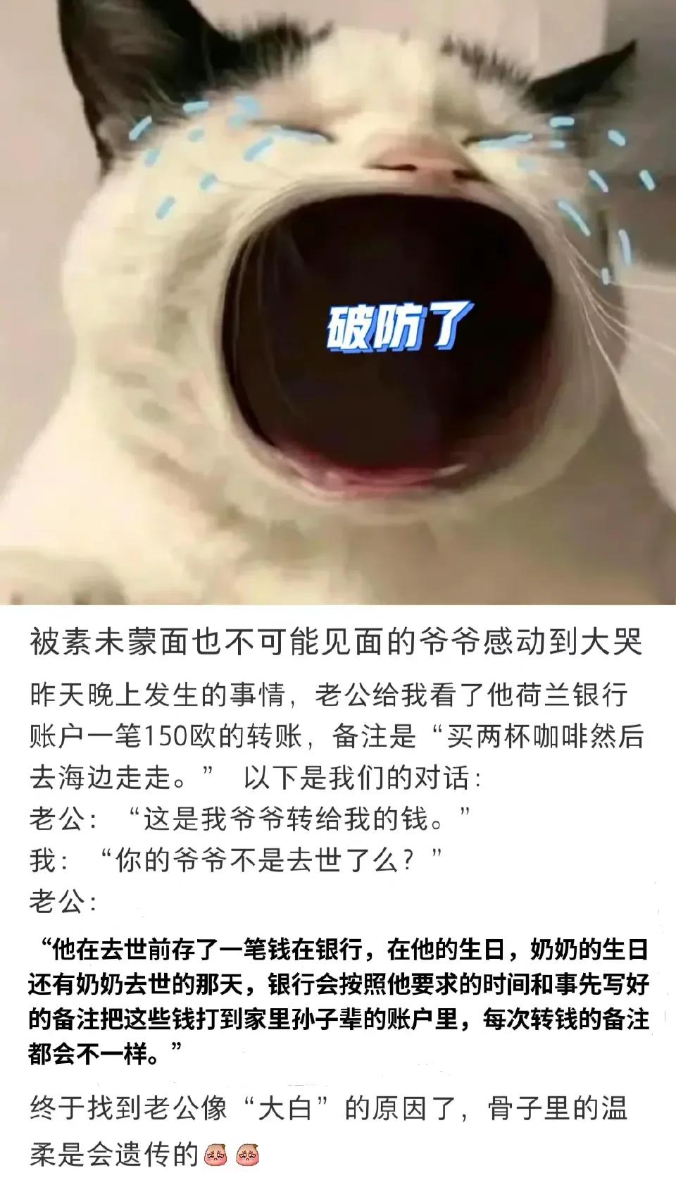 沙雕网友日常：玩王者荣耀么？你负责一打五，我负责全图浪