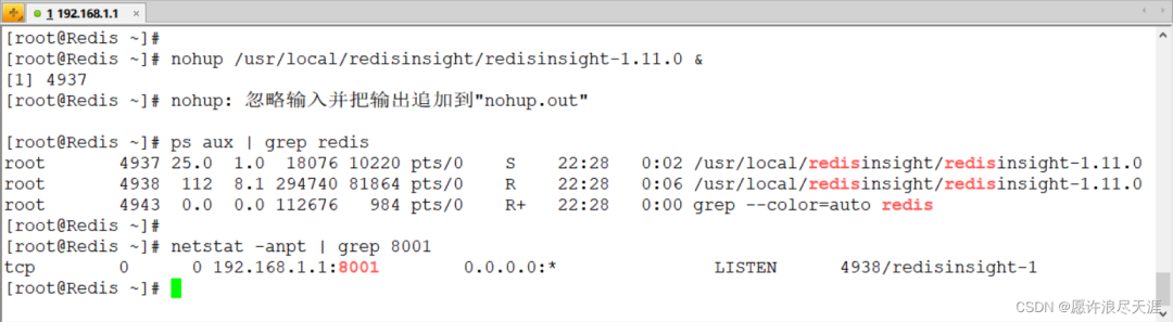 Redis 官方可视化工具，功能真心强大