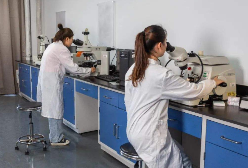 大学里也有“华而不实”的专业？表面高大上，但就业却成难题