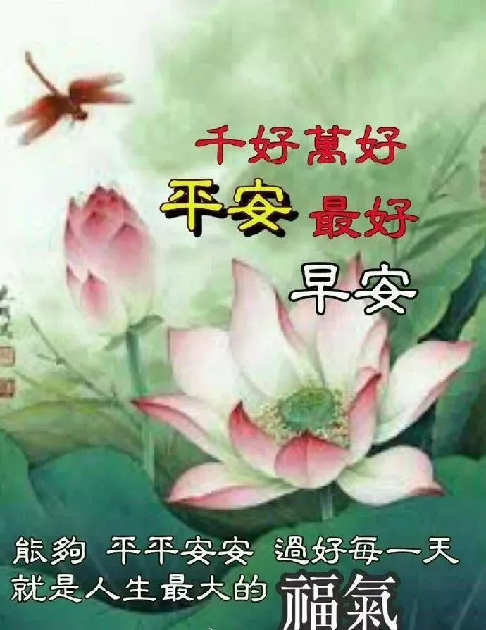 朋友圈每日早安祝福图片 最美的早上好问候图片 顺心如意、友谊长存图片