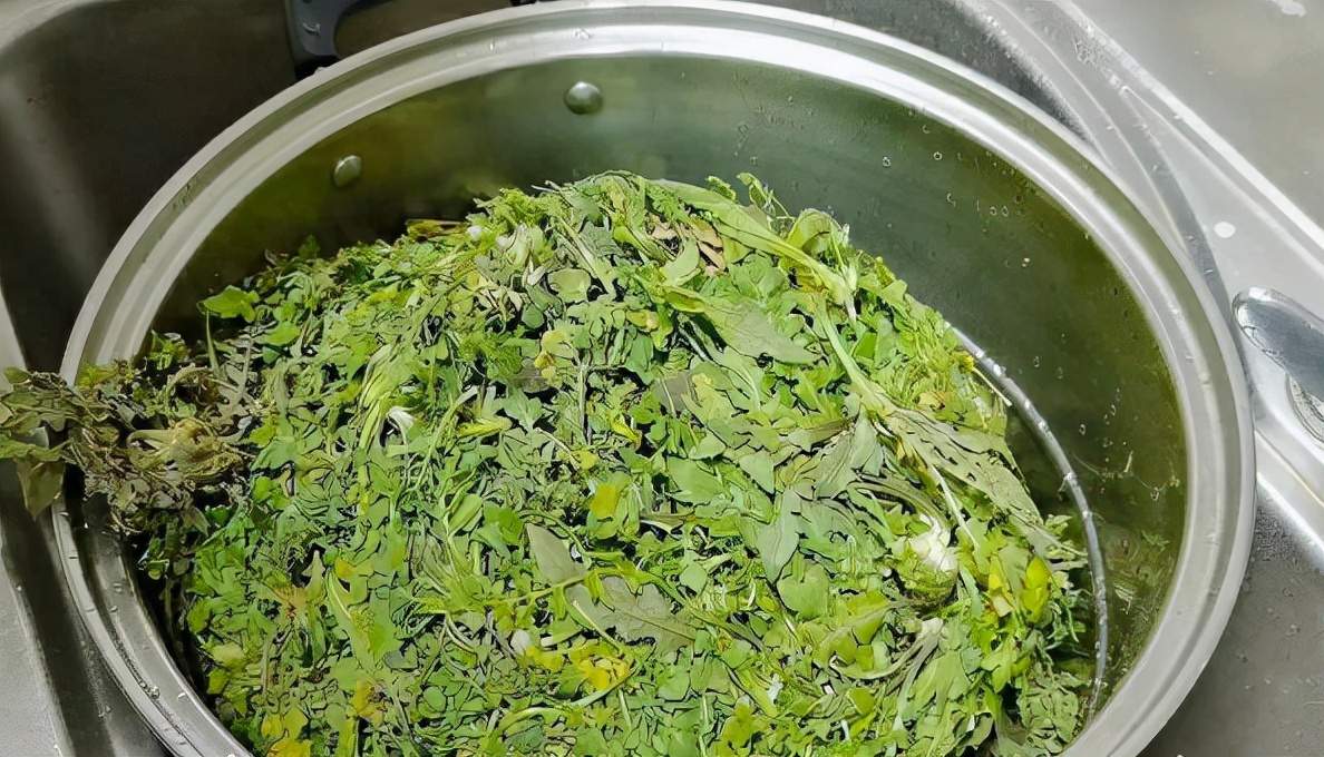 牛运霞水饺详细教程：荠菜猪肉馅水饺怎么做？荠菜怎么去苦涩