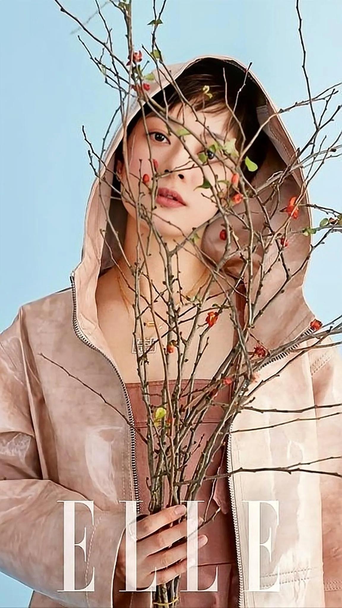 孙俪高清美图欣赏