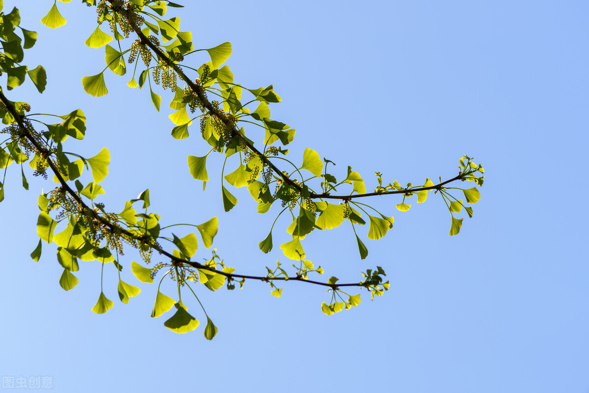 写作路上，少谈坚持，多谈热爱