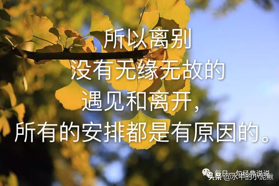 适合写心情的经典句子，喜欢的拿走，不谢