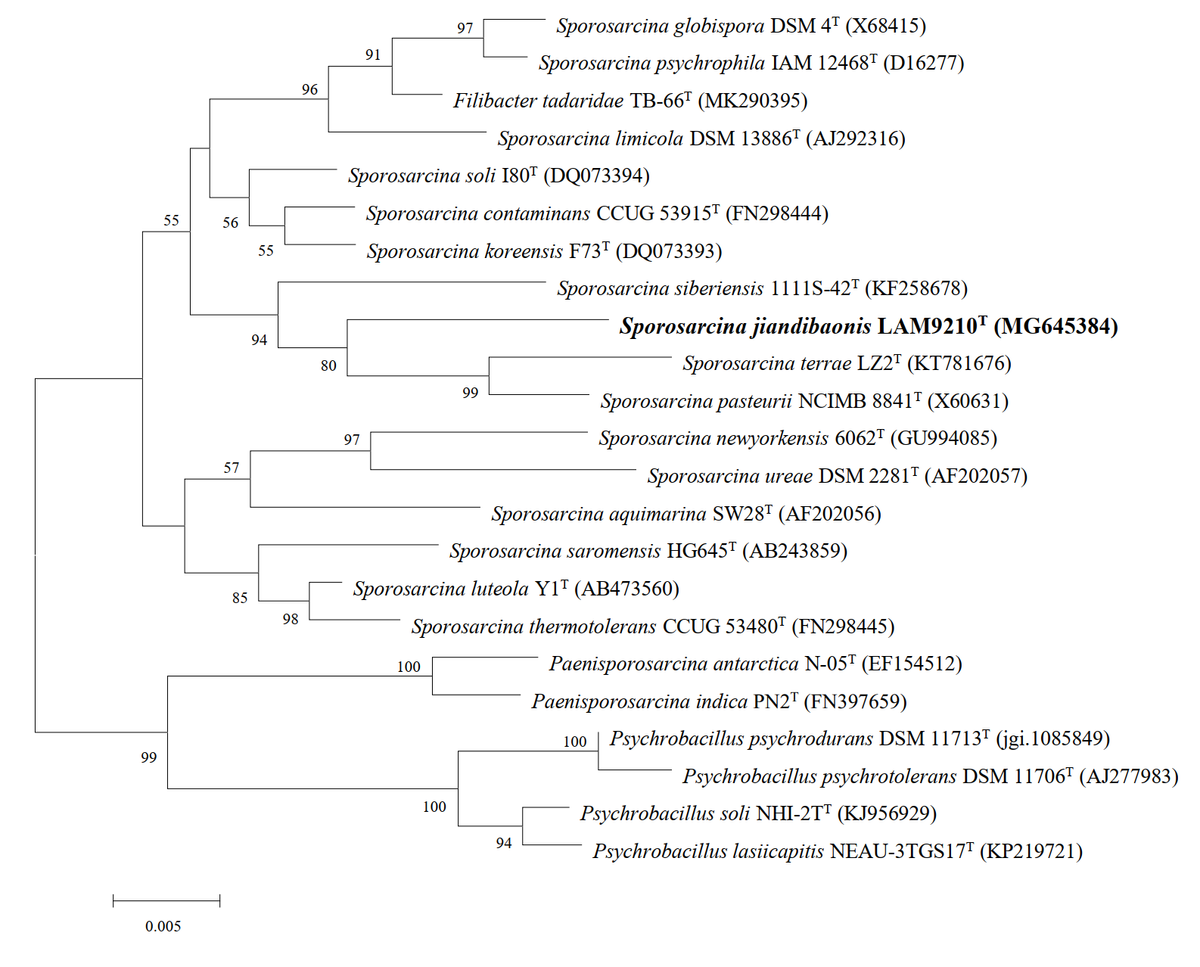 重大突破：全球第一组以中国企业名称命名的生物菌种诞生