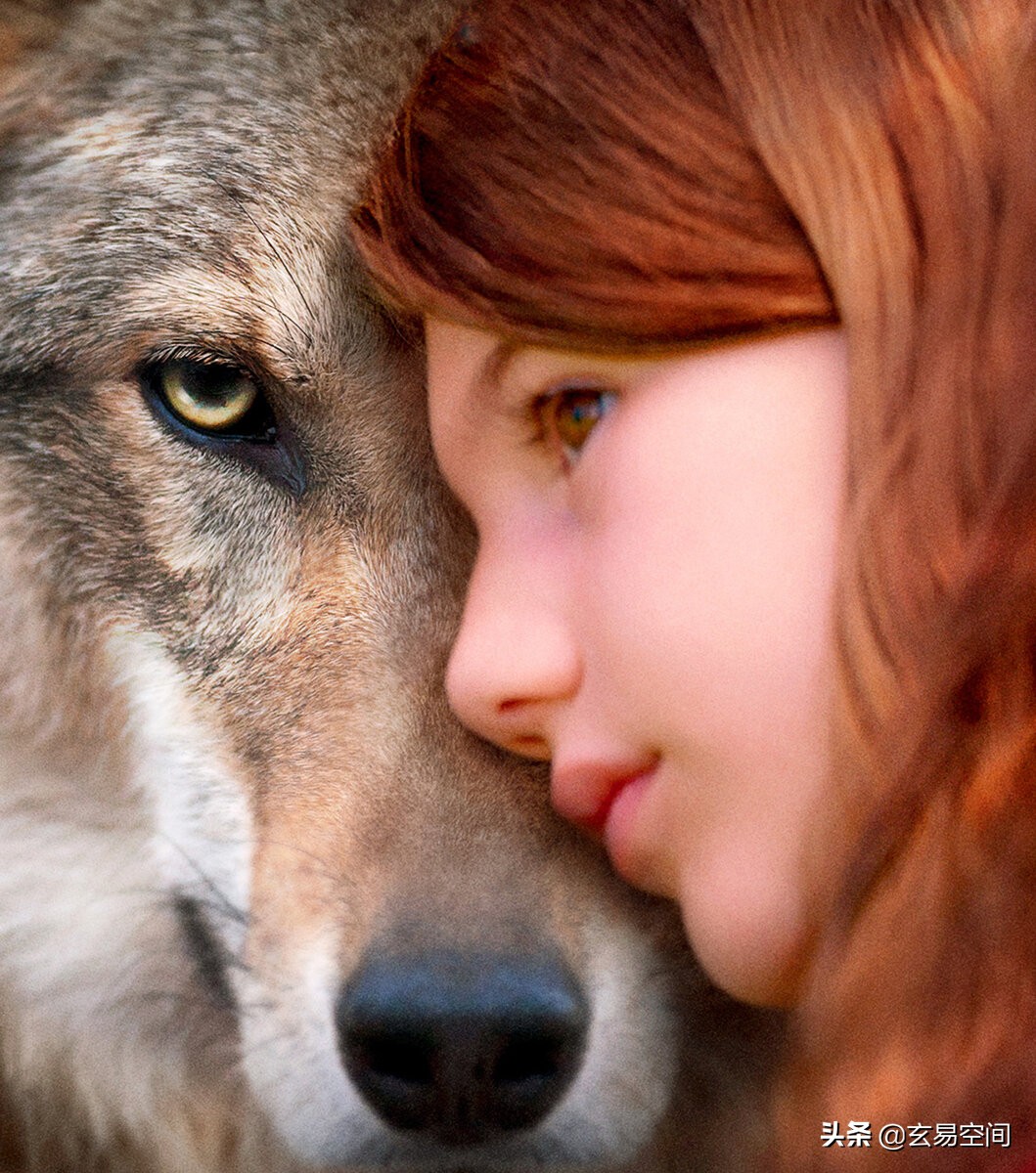 最近上映的2021-2022年十部最佳新电影