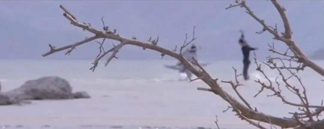 香港的第一风月片是变红的时候。