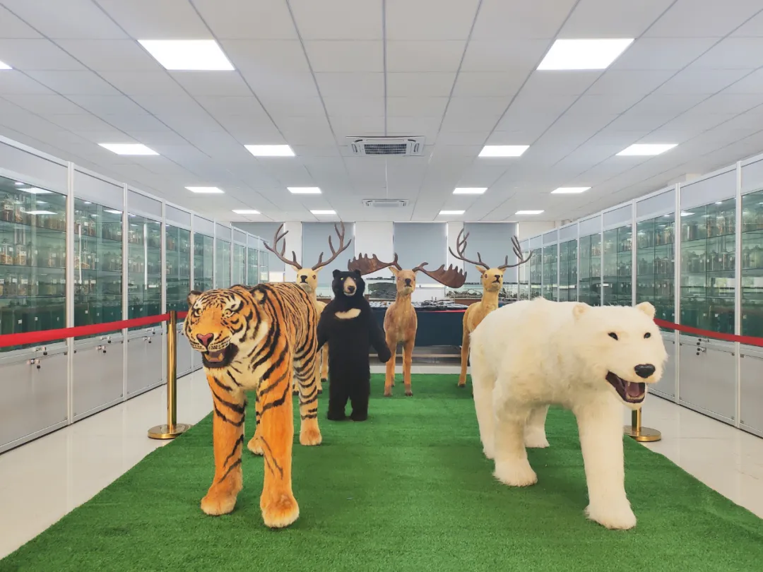 “医学热”又来了？学考想考医学专业，重点关注广东这12所院校