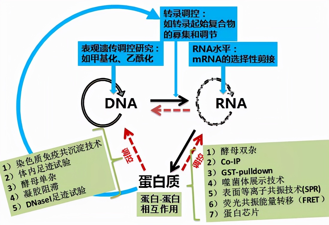 影响因子14——竟然是这位m「6」A王者的低分文章