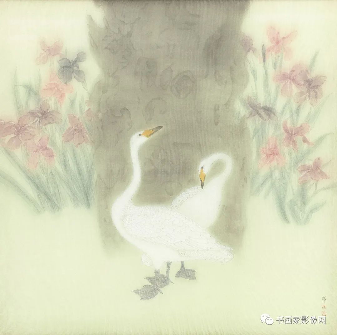 񹤱е¾áҡƼ