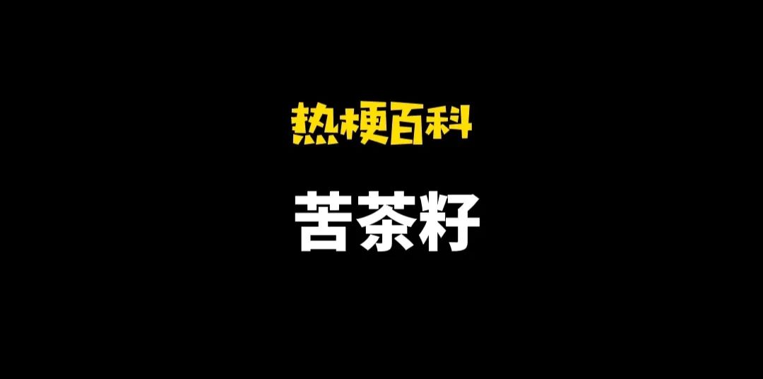 「热梗百科」“苦茶籽”是什么梗？