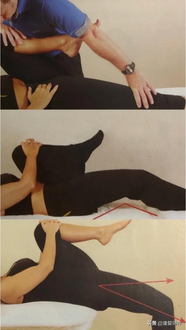 下肢的动力源——髋关节