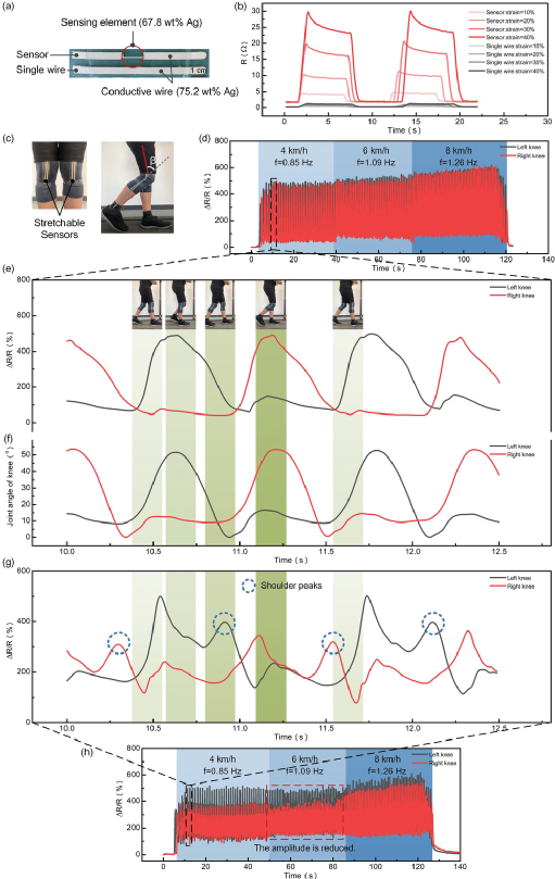 《AFM》清华大学：可打印导电弹性体用于高保真监测动态应变