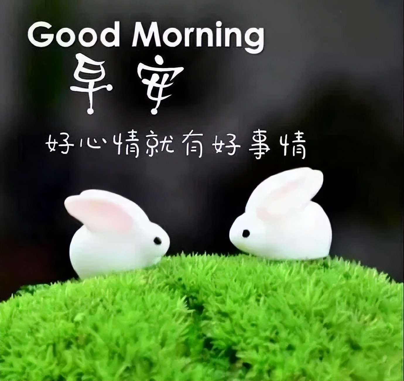 清晨早上好温暖早晨好问候关心祝福语句 早安带笑意、心情乐无比图片