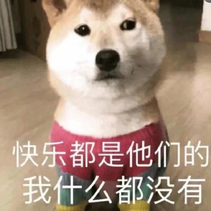 表情包什么网友啊这是