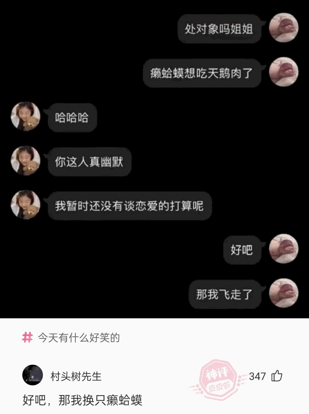 这是我们森林唯一去过夜店的叶子