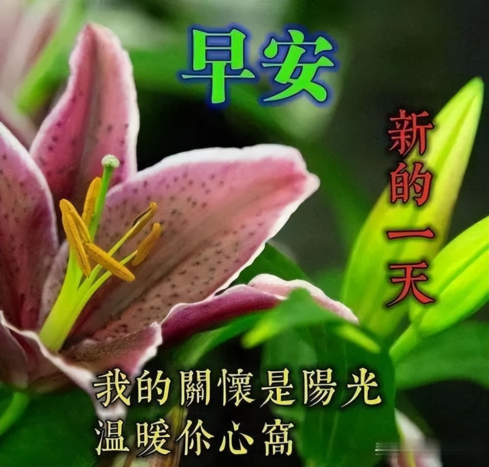 微信早上好图片带字 早上好的动态表情图片 美好的一天幸福无所不在图片