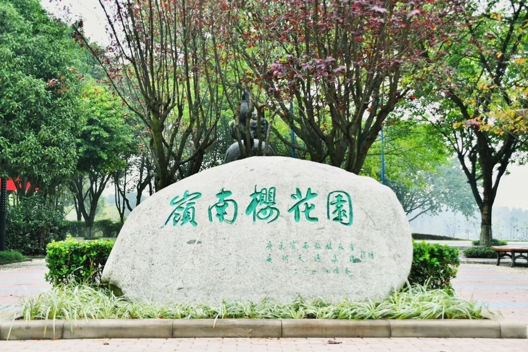 重庆超“有颜”大学！坐拥研究中心“全国唯一”，拥有价值超20万的神仙月季！