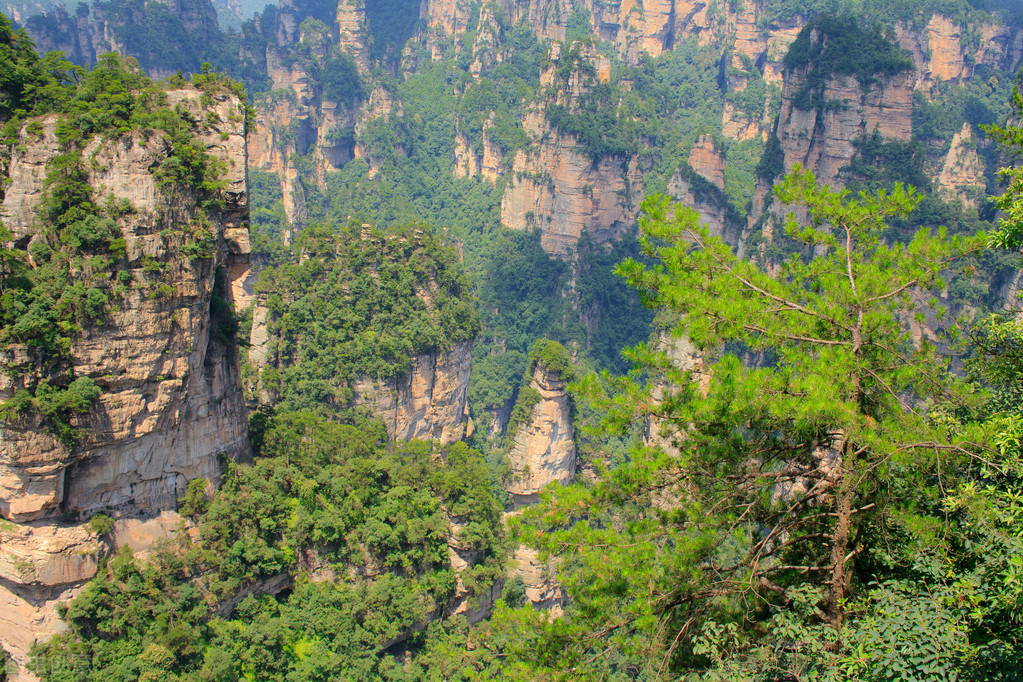 阿凡达中，为什么酋长夫人选择救杰克？是真慈悲么？