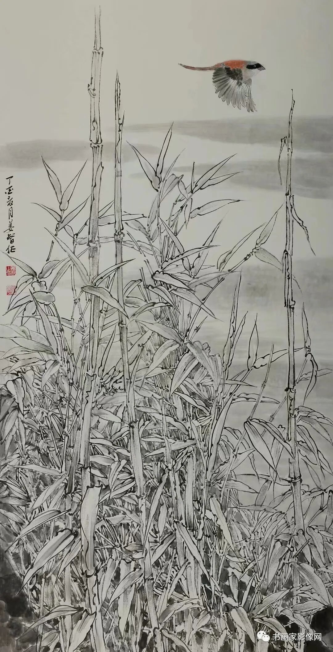 졪ҡǻƷ