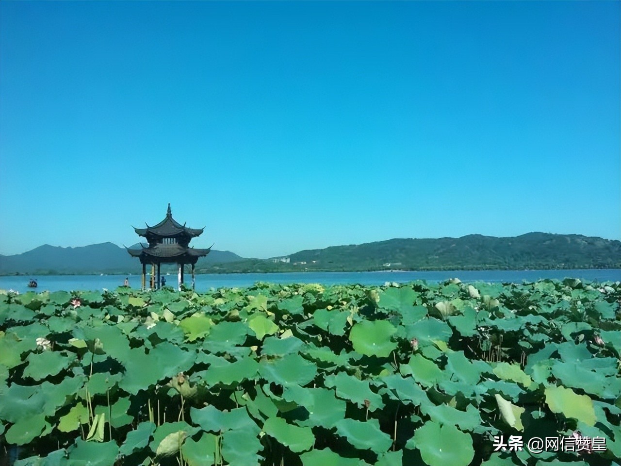 十首古诗致青春：愿我们出走半生，归来仍是少年