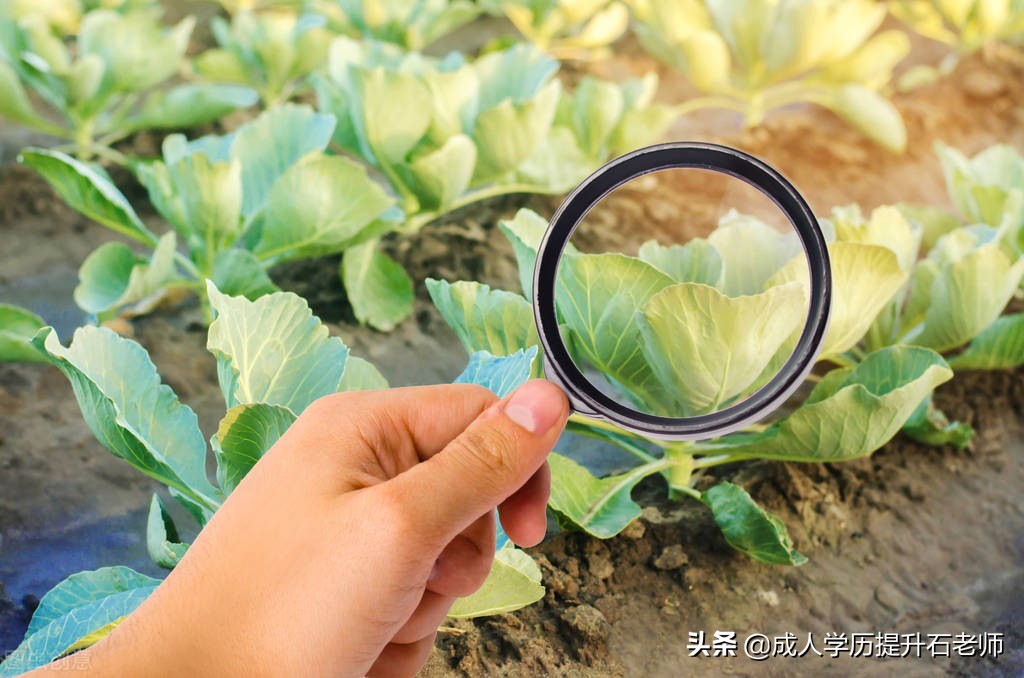 华中农业大学、成人高考本科报名、植物科学与技术专业招生介绍