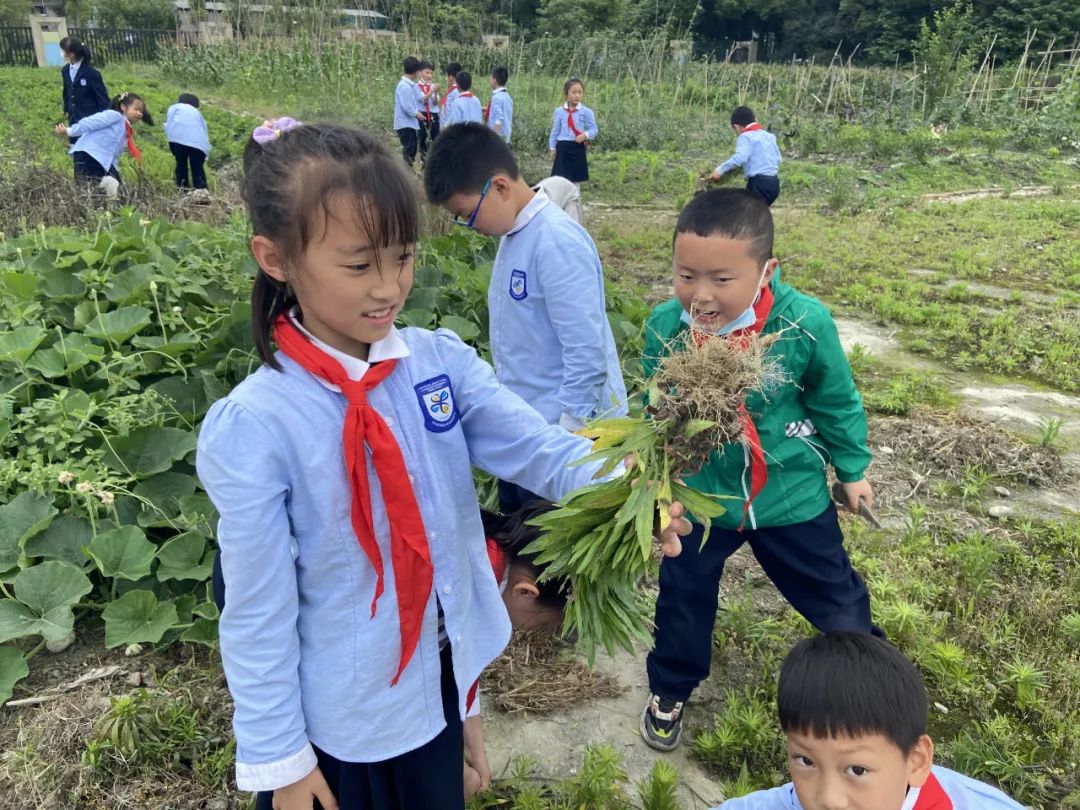 劳动挥洒五月余热 奉献迎接六月喜悦｜记实小外语校劳动系列课程