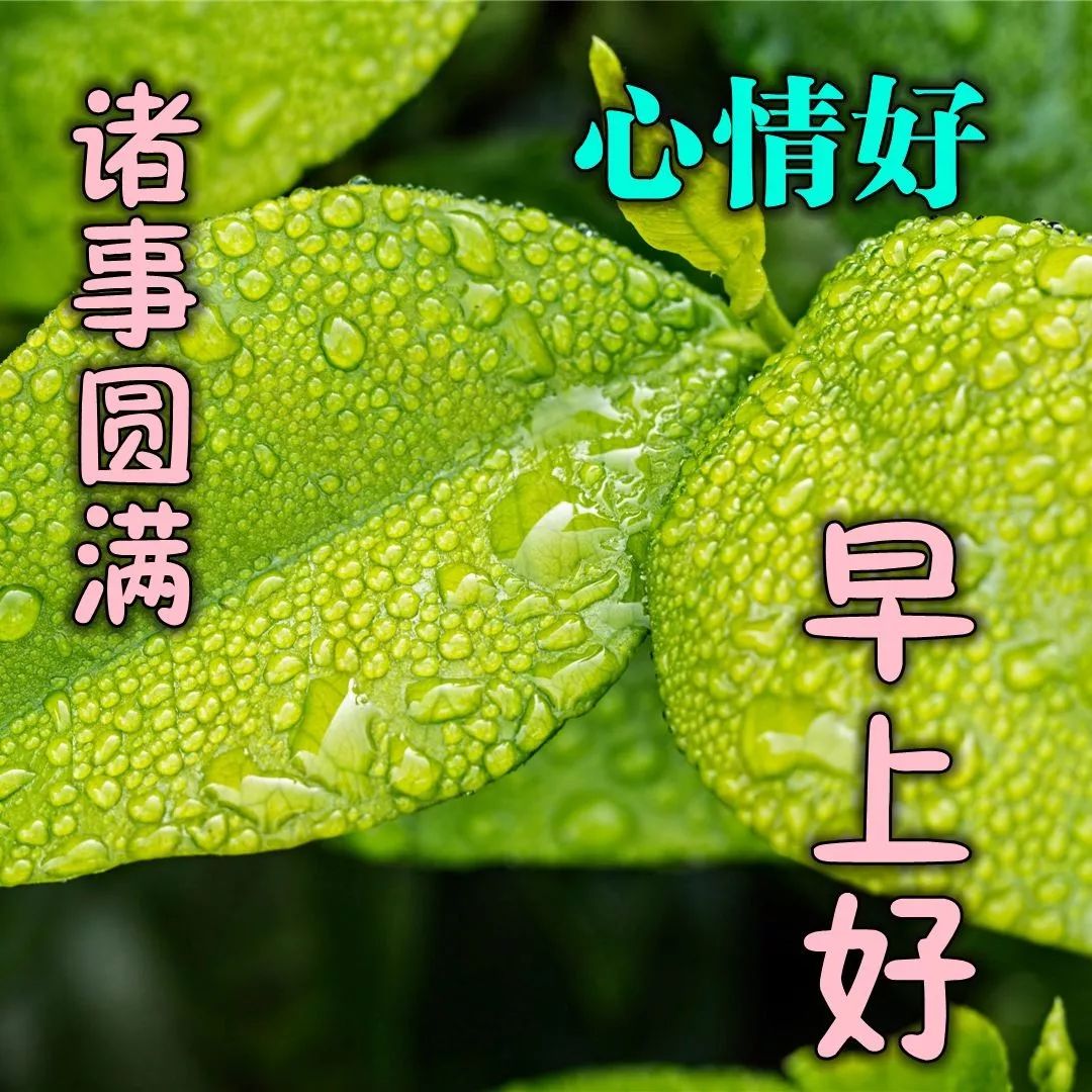 早上好问候语图片动态表情包 愿你心情好，顺心无烦恼图片