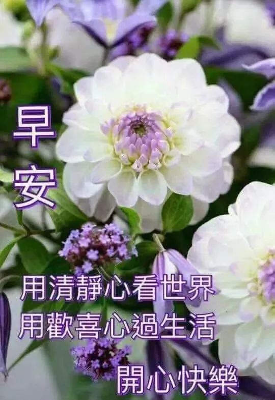 早上好祝福寄语 早上好问候图片大全 从平凡看生活会看见快乐图片
