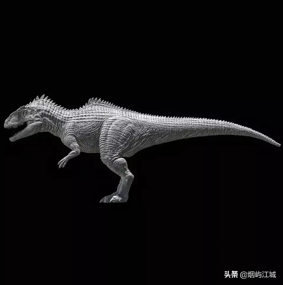 南方巨兽龙:谁能与我决雌雄?