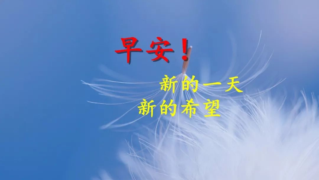 早上好问候祝福，一生快快乐乐，一世平平安安图片