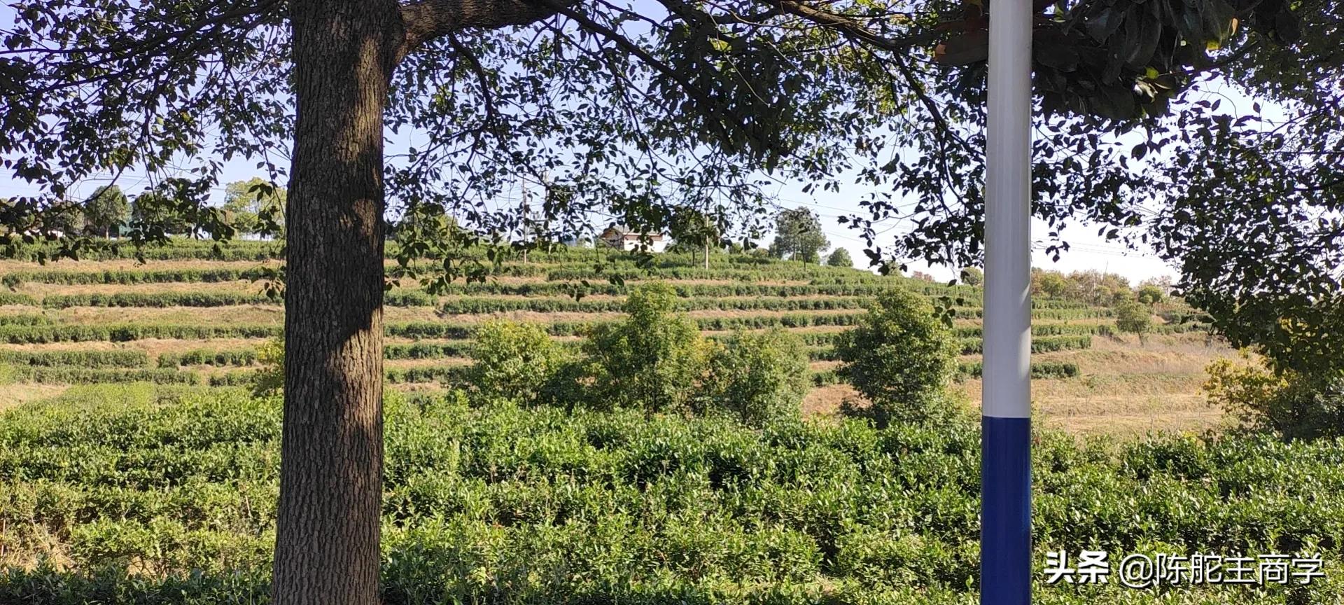 为什么你做自媒体一天100块都挣不到？真相来了