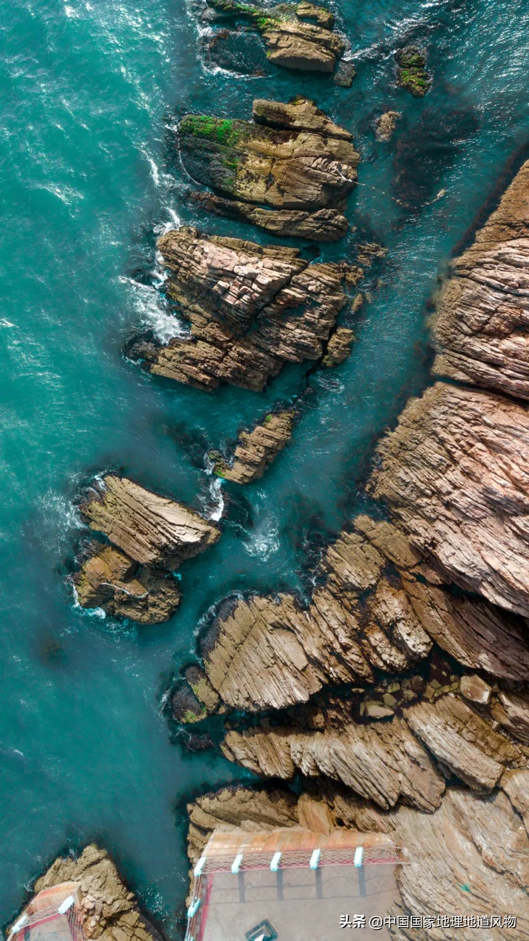 辽宁，被忽略的海鲜大省