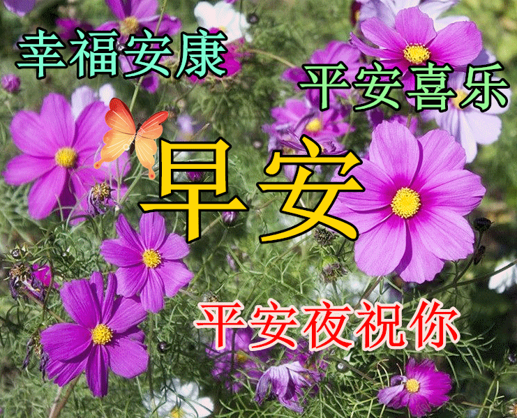 平安夜图片动态祝福平安顺利图片（平安夜的动态图片和祝福语）