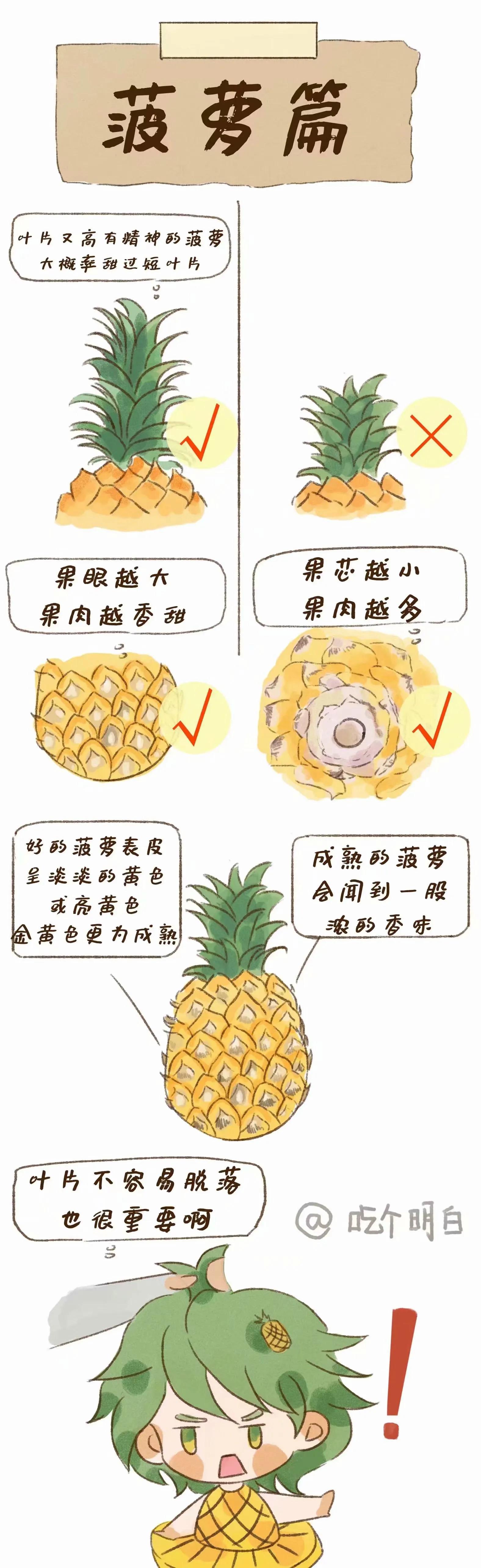 夏季挑水果攻略來嘍
