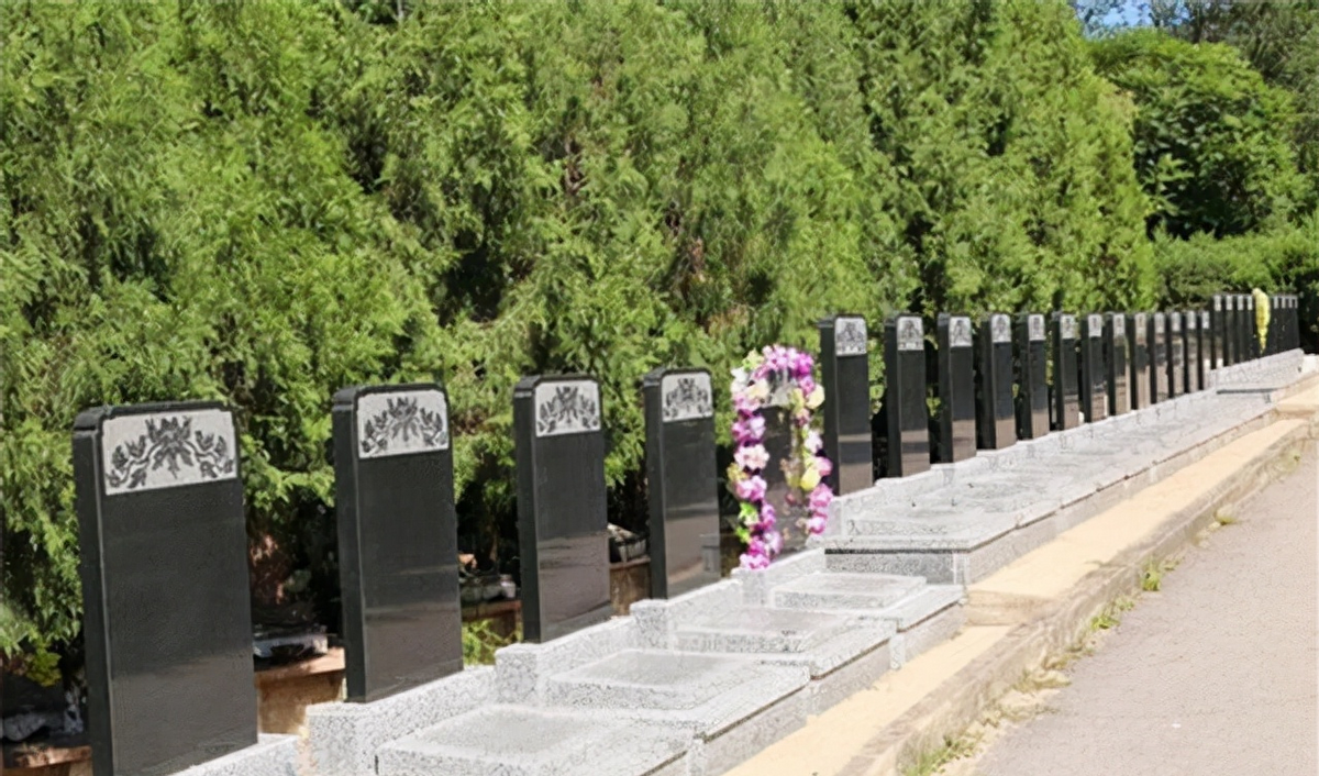 八宝山公墓里，公墓面积最大的是哪位先烈？