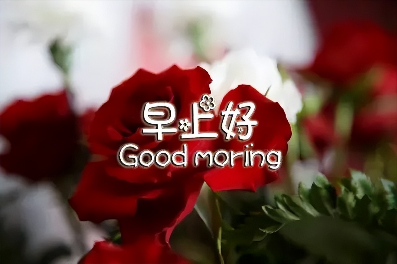星期六新春祝福早上好动图表情 周六早安图片带字温馨图片