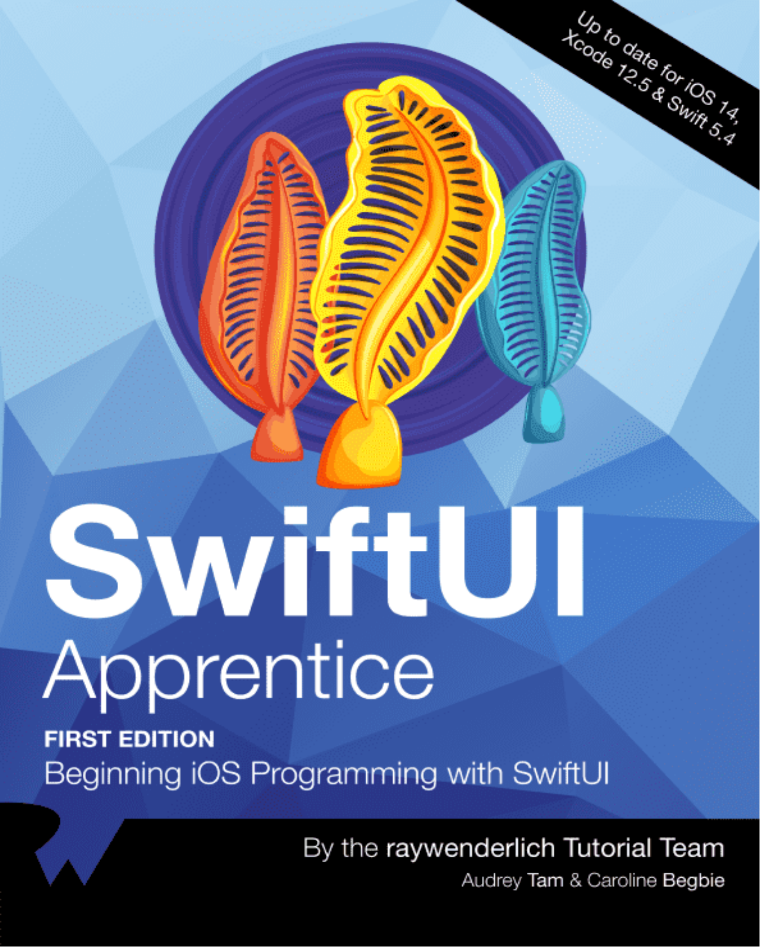 第一章,必备编程基础和背景知识----Swift Apprentice中文版