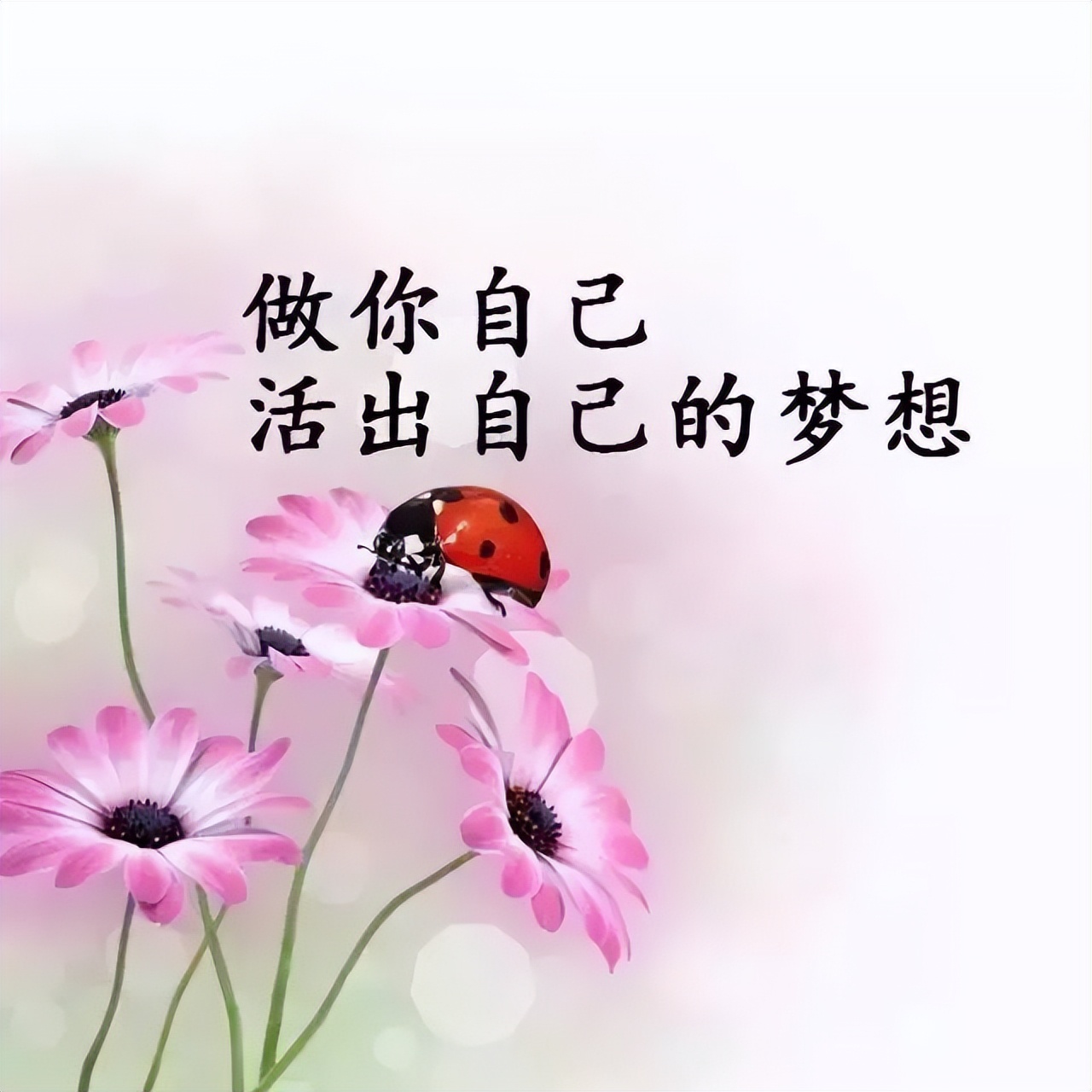 清晨阳光暖心问候早上好表情包集锦 感恩相遇，友情来之不易图片