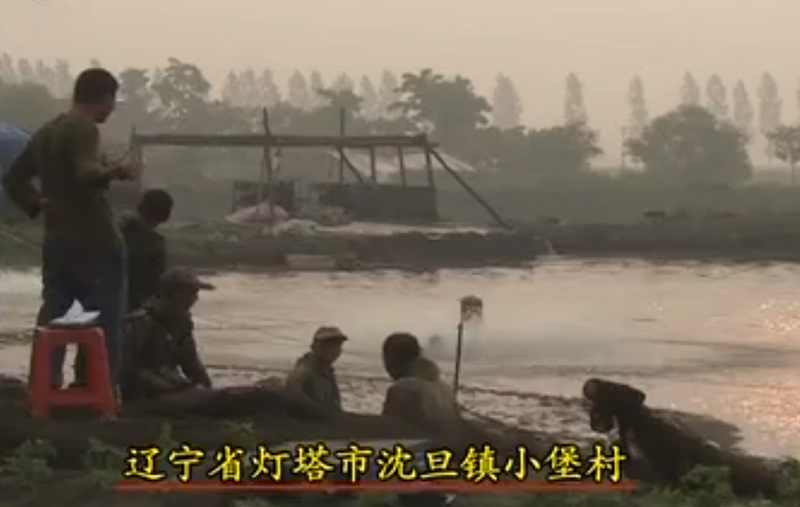 2008年，湖北男子花20万买了一条受伤的鲶鱼，3年后靠它年入1亿元