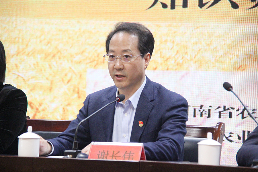 河南：糧食產量連續16年豐收的背后
